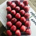 natural red star apple sweet red apple round apple with thin skin